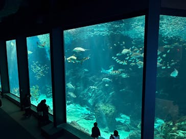 マリンワールド海の中道に投稿された画像（2026/1/20）