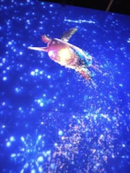 マクセル アクアパーク品川に投稿された画像（2026/1/20）