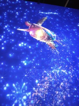 マクセル アクアパーク品川に投稿された画像（2026/1/20）