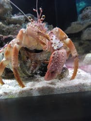 マクセル アクアパーク品川に投稿された画像（2026/1/20）