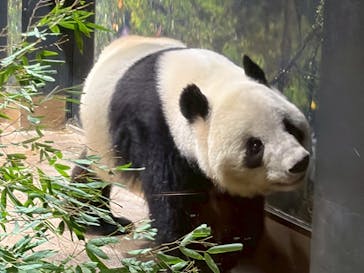 恩賜上野動物園に投稿された画像（2026/1/20）