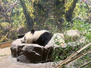 恩賜上野動物園に投稿された画像（2026/1/20）