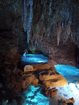 おきなわワールドに投稿された画像（2026/1/20）