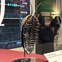 特別展「大絶滅展―生命史のビッグファイブ」に投稿された画像（2026/1/20）