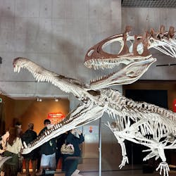 特別展「大絶滅展―生命史のビッグファイブ」に投稿された画像（2026/1/20）