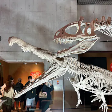 特別展「大絶滅展―生命史のビッグファイブ」に投稿された画像（2026/1/20）