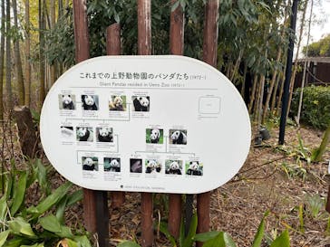 恩賜上野動物園に投稿された画像（2026/1/20）