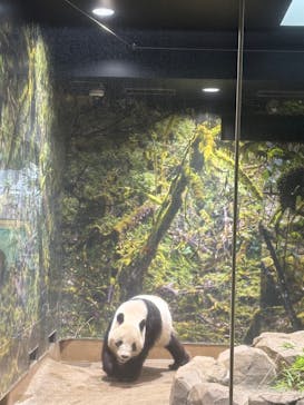 恩賜上野動物園に投稿された画像（2026/1/20）