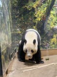 恩賜上野動物園に投稿された画像（2026/1/20）