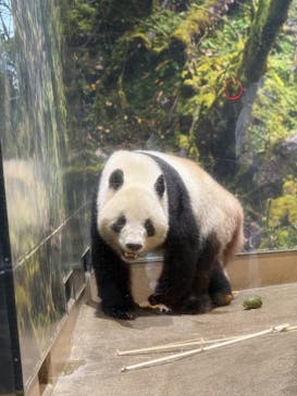 恩賜上野動物園に投稿された画像（2026/1/20）