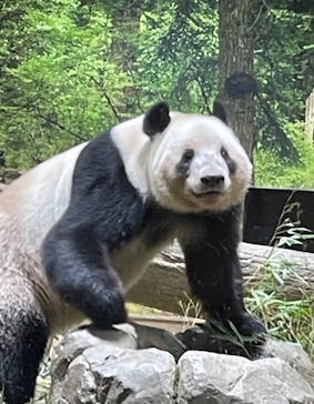 恩賜上野動物園に投稿された画像（2026/1/20）