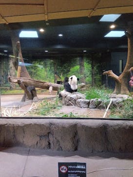 恩賜上野動物園に投稿された画像（2026/1/20）