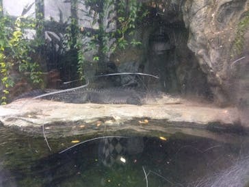 恩賜上野動物園に投稿された画像（2026/1/20）