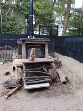 恩賜上野動物園に投稿された画像（2026/1/20）
