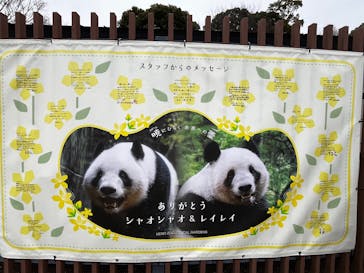 恩賜上野動物園に投稿された画像（2026/1/20）