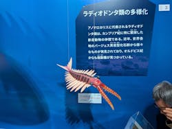 特別展「大絶滅展―生命史のビッグファイブ」に投稿された画像（2026/1/20）