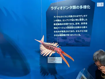 特別展「大絶滅展―生命史のビッグファイブ」に投稿された画像（2026/1/20）