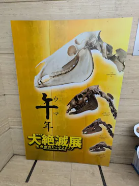 特別展「大絶滅展―生命史のビッグファイブ」に投稿された画像（2026/1/20）