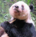 恩賜上野動物園に投稿された画像（2026/1/20）