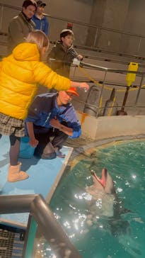 城崎マリンワールドに投稿された画像（2026/1/20）