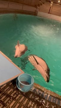 城崎マリンワールドに投稿された画像（2026/1/20）