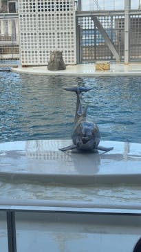 城崎マリンワールドに投稿された画像（2026/1/20）