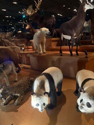 国立科学博物館に投稿された画像（2026/1/20）