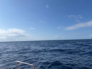 Sea World（シーワールド）に投稿された画像（2026/1/20）