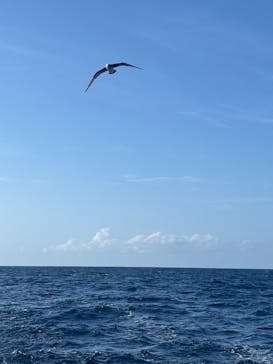 Sea World（シーワールド）に投稿された画像（2026/1/20）