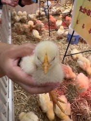 アニタッチららぽーと名古屋みなとアクルスに投稿された画像（2026/1/20）