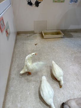 アニタッチららぽーと名古屋みなとアクルスに投稿された画像（2026/1/20）