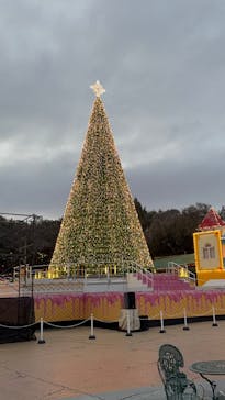 レオマリゾートに投稿された画像（2026/1/20）