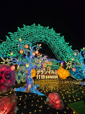 伊豆高原グランイルミに投稿された画像（2026/1/20）