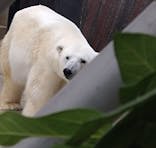 恩賜上野動物園に投稿された画像（2026/1/20）