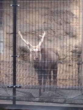 恩賜上野動物園に投稿された画像（2026/1/20）