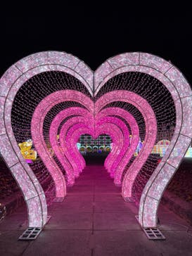 神戸イルミナージュに投稿された画像（2026/1/20）