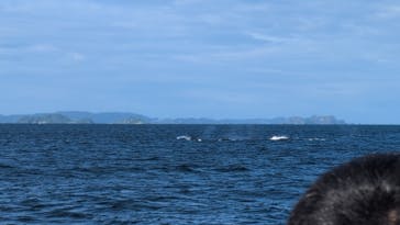 マリンクラブ ベリー 那覇店に投稿された画像（2026/1/20）