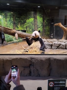 恩賜上野動物園に投稿された画像（2026/1/20）