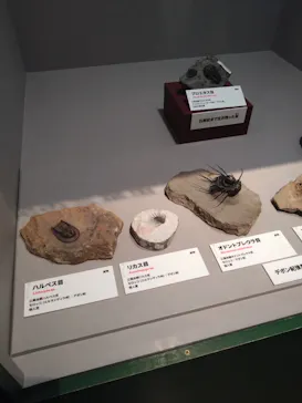 特別展「大絶滅展―生命史のビッグファイブ」に投稿された画像（2026/1/20）