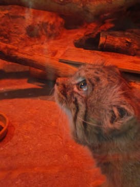 恩賜上野動物園に投稿された画像（2026/1/20）