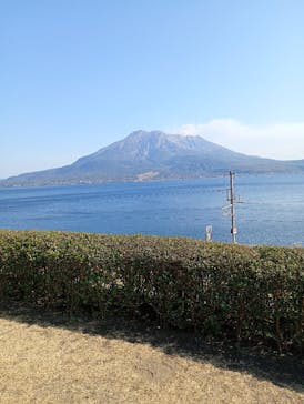 仙巌園に投稿された画像（2026/1/20）