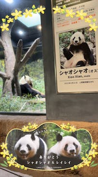 恩賜上野動物園に投稿された画像（2026/1/20）