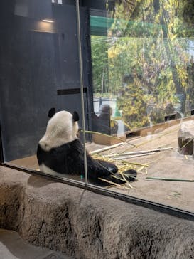 恩賜上野動物園に投稿された画像（2026/1/20）