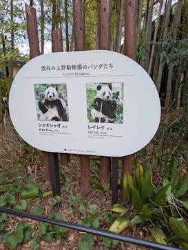 恩賜上野動物園に投稿された画像（2026/1/20）