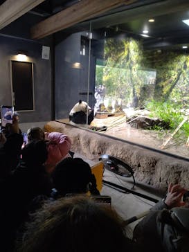 恩賜上野動物園に投稿された画像（2026/1/20）