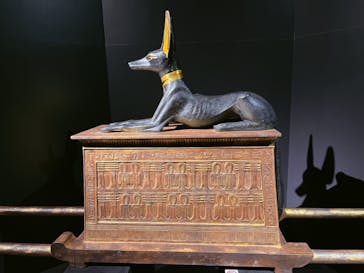 MYSTERY OF TUTANKHAMEN 体感型古代エジプト展に投稿された画像（2026/1/20）