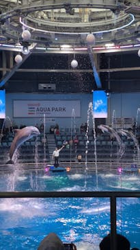 マクセル アクアパーク品川に投稿された画像（2026/1/20）