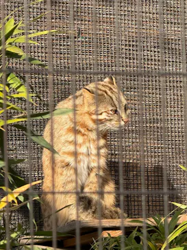 井の頭自然文化園に投稿された画像（2026/1/20）