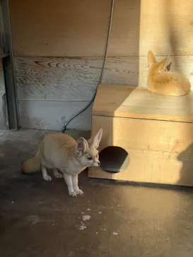 井の頭自然文化園に投稿された画像（2026/1/20）