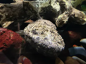 井の頭自然文化園に投稿された画像（2026/1/20）